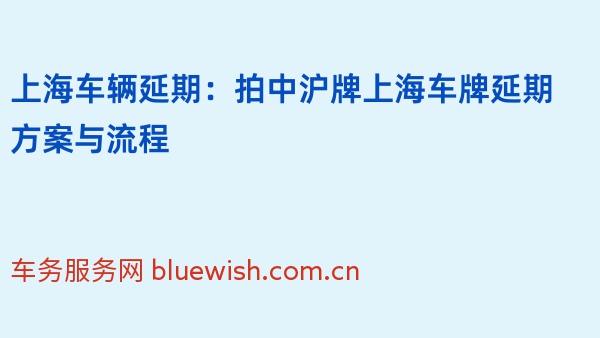 上海车辆延期：拍中沪牌上海车牌延期方案与流程