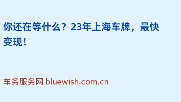 你还在等什么？23年上海车牌，最快变现！