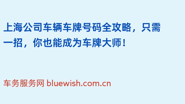 上海公司车辆车牌号码全攻略，只需一招，你也能成为车牌大师！