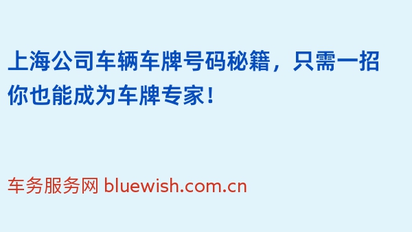 上海公司车辆车牌号码秘籍，只需一招你也能成为车牌专家！