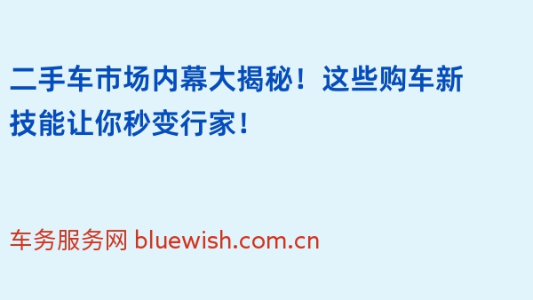 二手车市场内幕大揭秘！这些购车新技能让你秒变行家！