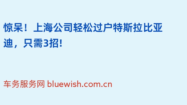 惊呆！上海公司轻松过户特斯拉比亚迪，只需3招!