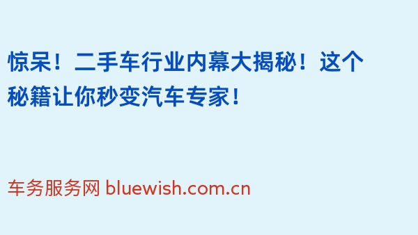 惊呆！二手车行业内幕大揭秘！这个秘籍让你秒变汽车专家！